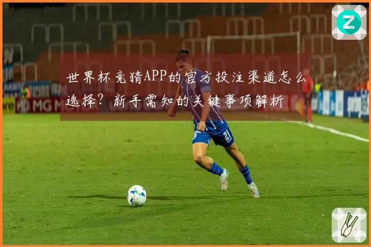 世界杯竞猜APP的官方投注渠道怎么选择？新手需知的关键事项解析