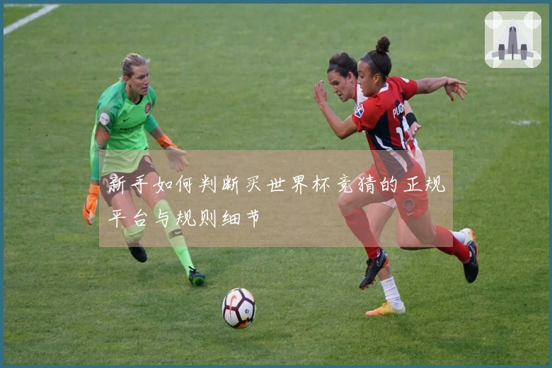 新手如何判断买世界杯竞猜的正规平台与规则细节