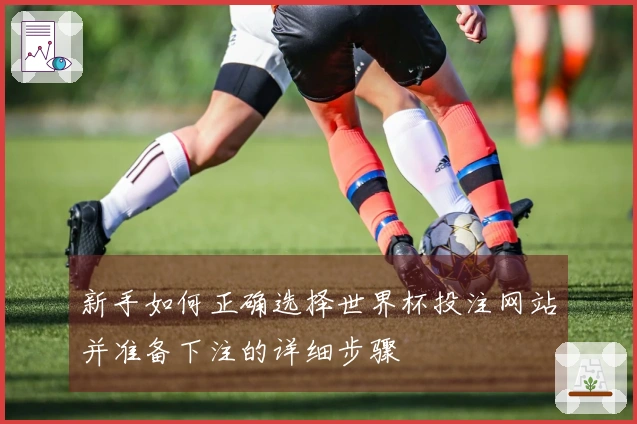 新手如何正确选择世界杯投注网站并准备下注的详细步骤