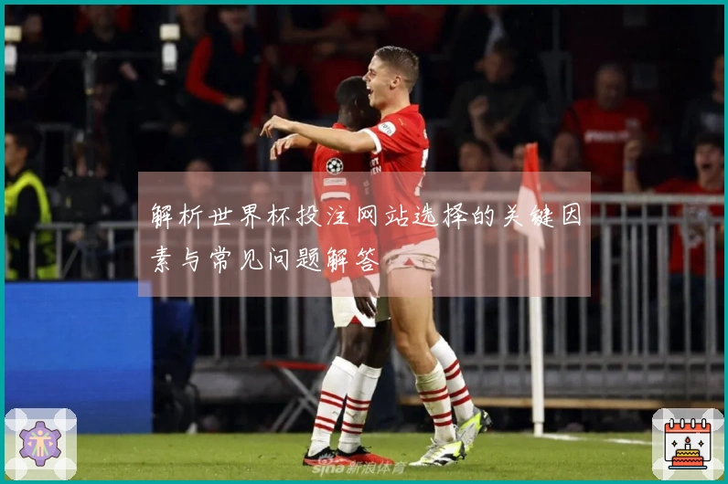 解析世界杯投注网站选择的关键因素与常见问题解答