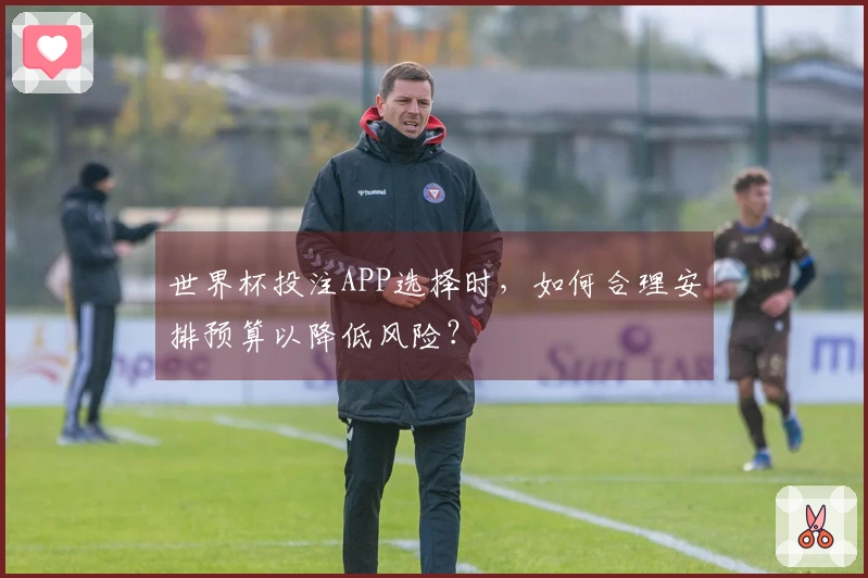 世界杯投注APP选择时，如何合理安排预算以降低风险？