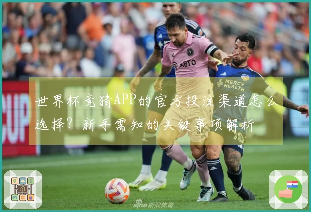 世界杯竞猜APP的官方投注渠道怎么选择？新手需知的关键事项解析
